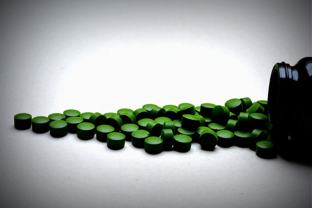 řasa chlorella