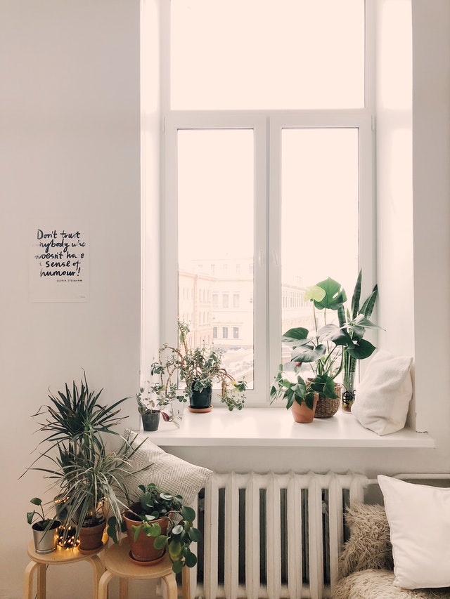bydlení s rostlinami